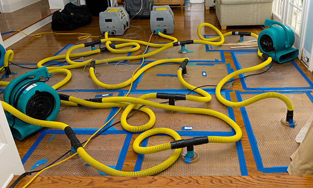 Professional Burst Pipe Water Damage technician working in Dexter, OR
